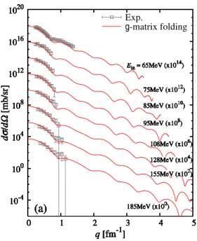 Figure 2.9: Diﬀerential cross sections dσ/dΩ as functions of q for neutron elastic scat- scat-tering on 40 Ca target at E in = 65–185 MeV
