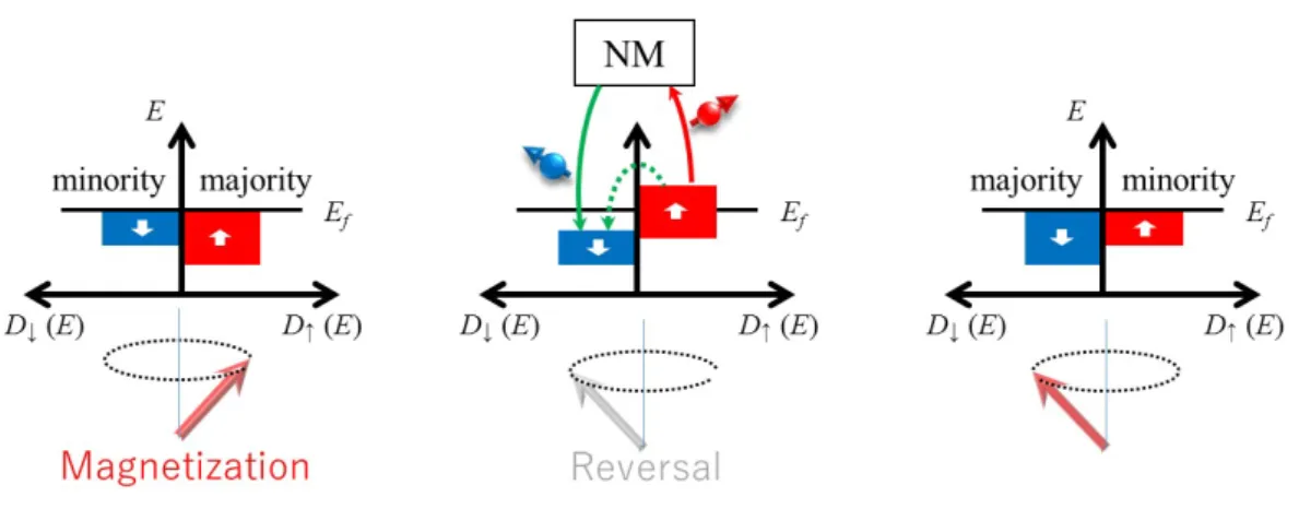 Figure 2.4: Populations of up- and down-spin bands during magnetization dynamics.