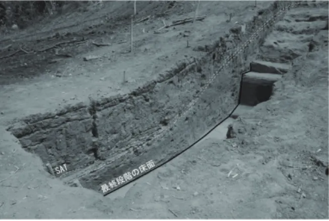 図 9　サン・アンドレス遺跡 5 号建造物基壇部の状況（筆 者撮影） ば、エル・ボケロン火山が噴火する前に、少なくともサン・アンドレスの 5 号建造物はかなりの程度、崩壊していたと思われる。つまり、噴火はサン・アンドレス社会の崩壊の要因にはならない。具体的に崩壊の要因がどのようであったかは、今後の課題であるが、少なくとも噴火以前に崩壊していたことは間違いない。建造物を覆っていたと思われる泥漆喰壁はほ とんど崩れ落ち、内部構造の一部である日干しレンガがむき出しになり、浸食していた惨状が推測できる。5 号建造物