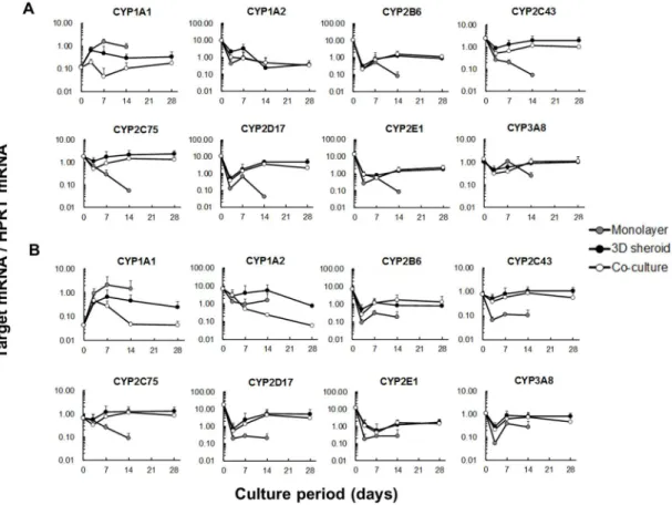 Figure 3.  Time courses of mRNA expression of CYPs. 