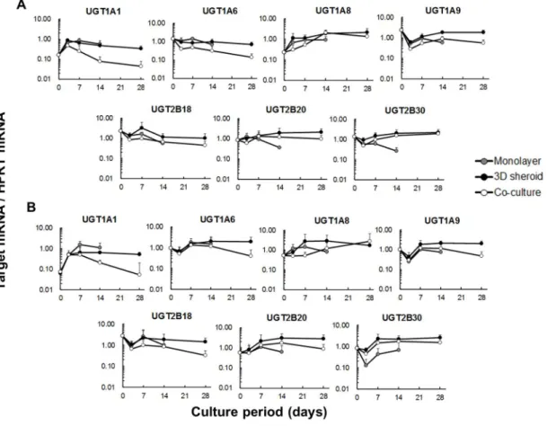 Figure 4.  Time courses of mRNA expression of UGTs. 