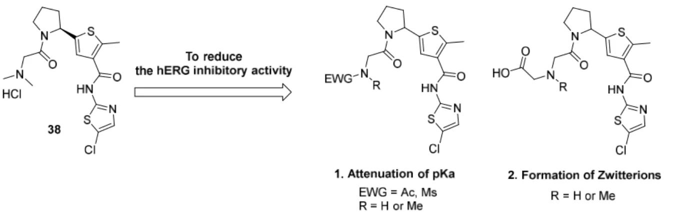 Figure 2-8. Strategy to reduce the inhibitory activity of hERG. 