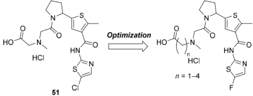 Figure 2-9. Optimization of compound 51. 