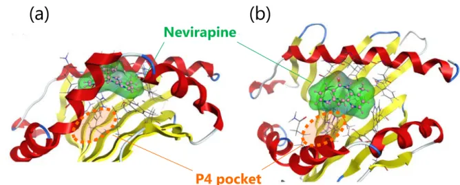 Figure 5. Binding mode of nevirapine to HLA-DRB1*01:01 in docking simulations, (a) side view  and (b) top view
