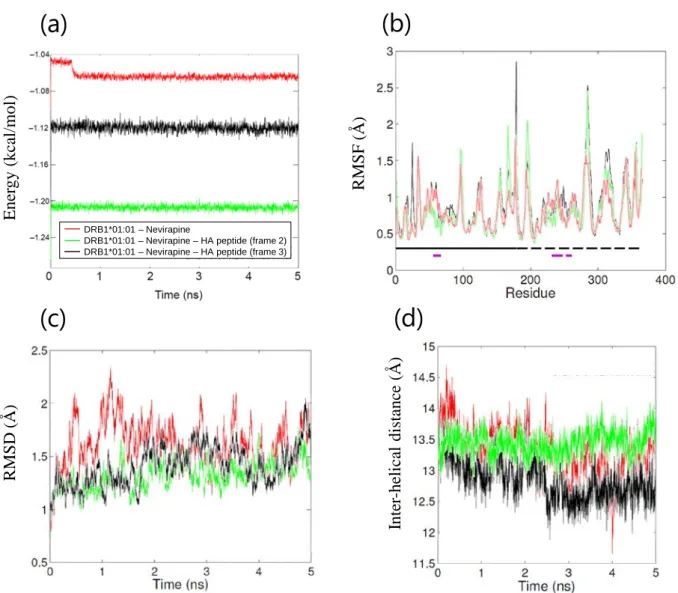 Figure 15. Parameters of MD simulations of HLA-DRB1*01:01-nevirapine complex and HLA- HLA-DRB1*01:01-nevirapine-HA peptide trimers