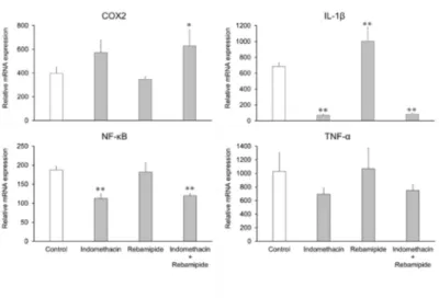 Fig. 5. Effects of indomethacin  and rebamipide on COX-2,  IL-1β, NF-κB, and TNF-α  mRNA expression levels in  enterocytes derived from  human iPS cells.