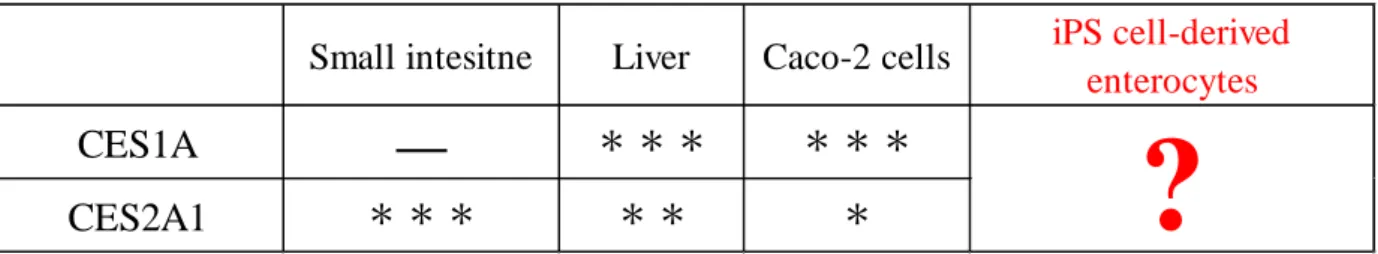 Table 1. Specific expression profile of CES isozymes in human tissue, Caco-2 cells and human iPS  cell-derived enterocytes