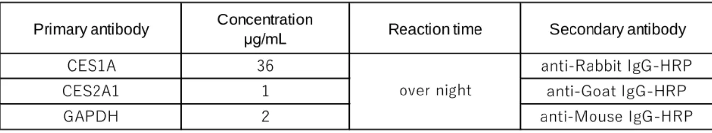 Table  4参照）。ラップフィルム上にPierce ®   Western Blotting Substrateのdetection regent 1と detection regent 2を等量混ぜ、メンブレンをその混合液に1分間ほど浸して発光基質を結合さ せた。その後、ポリプロピレン製の透明シートの間にメンブレンを挟み、ルミノイメージア ナライザLAS-3000 mini（富士フイルム、東京）でタンパク質のバンドを検出した。 