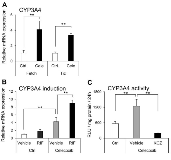 Figure 2-3. Activity and inducibility of CYP3A4 in hepatocytes differentiated from human  iPS cells using celecoxib