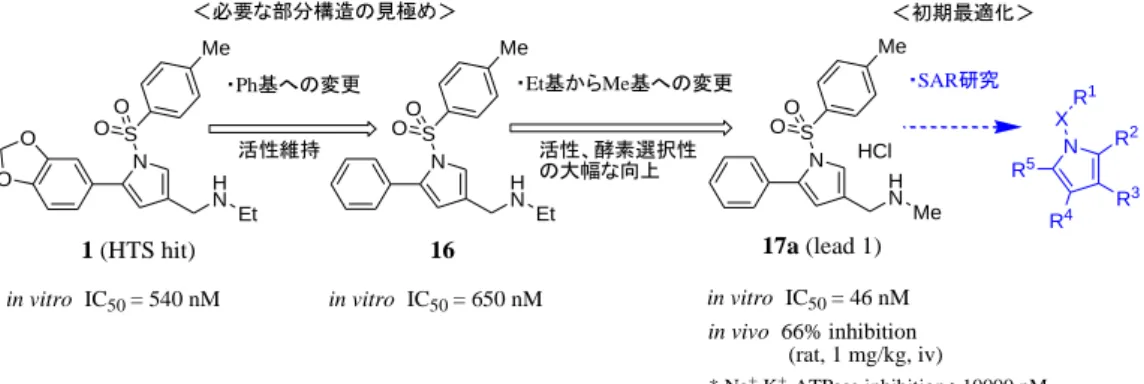 Figure 12. Early synthetic strategy from 1 and generation of lead compound 17a. 
