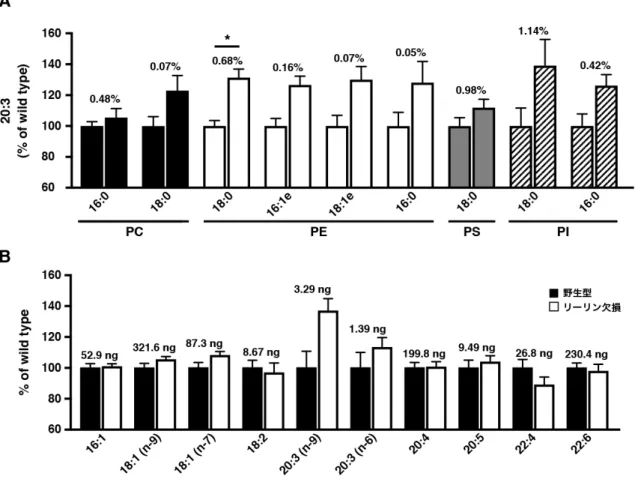 Fig. 7  リーラーマウス大脳皮質において、ミード酸の総量が増加する