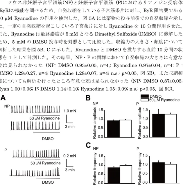 図 5   マウス子宮平滑筋自発収縮に対する RyR の寄与