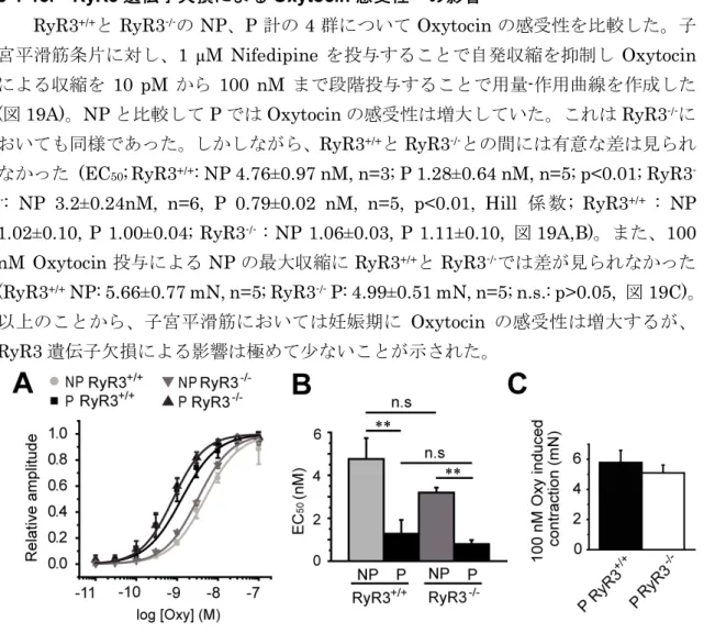 図 19   マウス子宮平滑筋における Oxytocin の感受性の比較