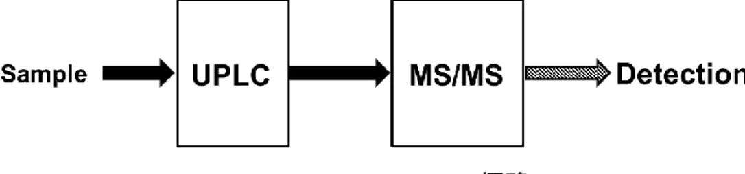 Fig. 3 で示した方法で MCM および PCC の酵素活性を測定するため、始めに
