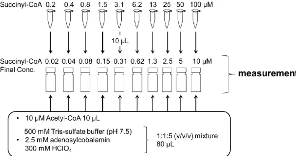 Fig. 5  サクシニル-CoA 検量線用希釈列の作製方法 