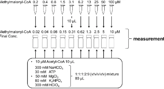 Fig. 6  メチルマロニル-CoA 検量線用希釈列の作製方法