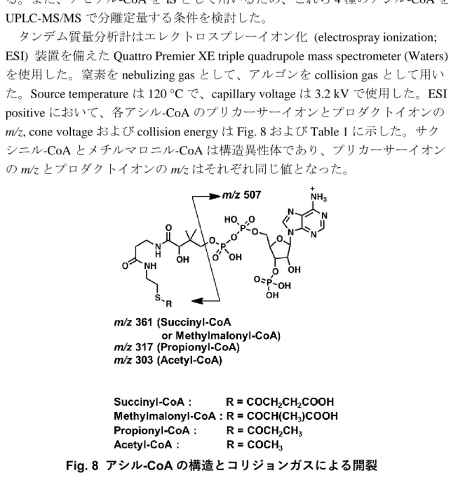 Fig. 8  アシル -CoA の構造とコリジョンガスによる開裂