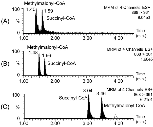 Fig. 9  サクシニル -CoA およびメチルマロニル -CoA のクロマトグラム
