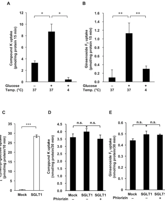 Fig. 7 Compound K と ginsenoside F 2 の取り込みに対する低温環境、グルコース の影響 