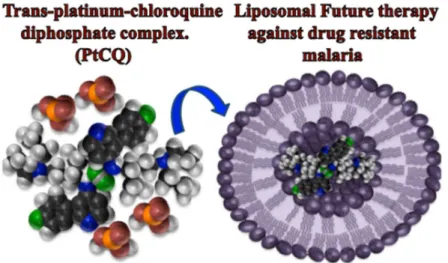 Fig.  3  The  efficient  drug  encapsulation  into  PEGylated  cationic  liposomes by using remote-loading method 