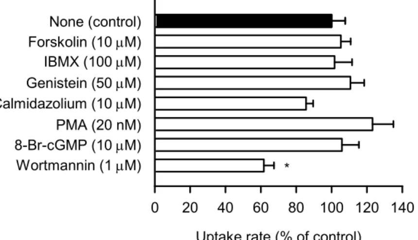 Fig. 5. Effect of Protein Kinase Modulators on the Uptake of Folate by hPCFT Stably  Expressed in MDCKII Cells 