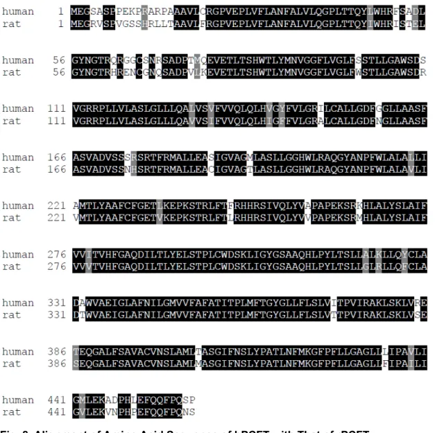 Fig. 8. Alignment of Amino Acid Sequence of hPCFT with That of rPCFT 