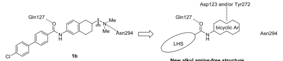 Figure  7.  Design  concept  of  alkyl  amine-free  MCHR1  antagonists.  Dotted  lines  denote  the  hydrogen-bonding interaction with the receptor