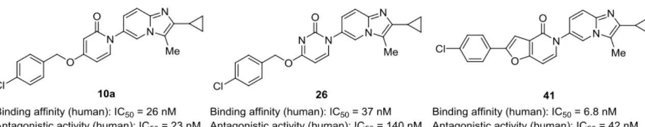 Figure 12. Binding affinities and antagonistic activities of lead compounds 10a, 26, and 41
