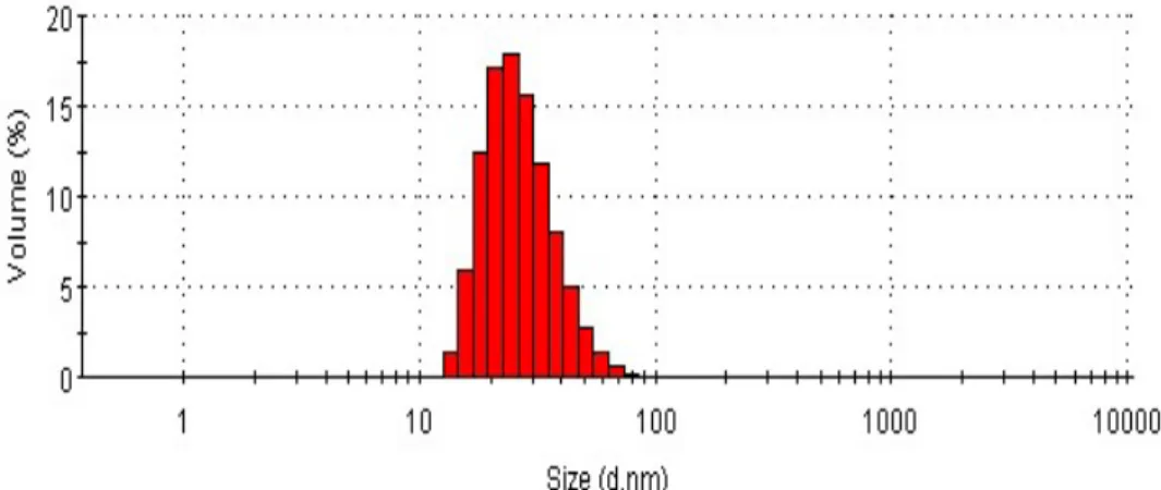 Fig. 3-2 Particle distribution of 10 K MPGs measured by DLS 