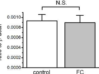Fig. 8    Quantitative analysis of MR mRNA expression in the rat urinary bladder after  three  days  of  FC  administration  using  real-time  reverse  transcriptase-PCR