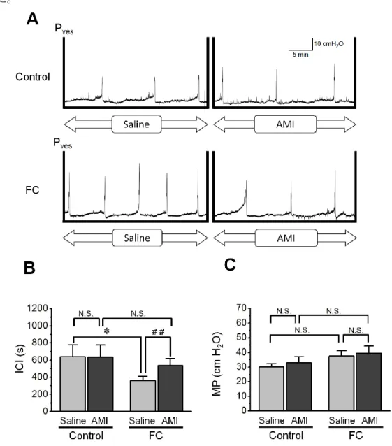 Fig.  10    Cystometry  after  three  days  of  fludrocortisone  administration.  (A)  Representative  cystometrogram  during  intravesical  infusion  of  saline  and  the  subsequent amiloride (AMI) treatment in the control and fludrocortisone (FC) groups
