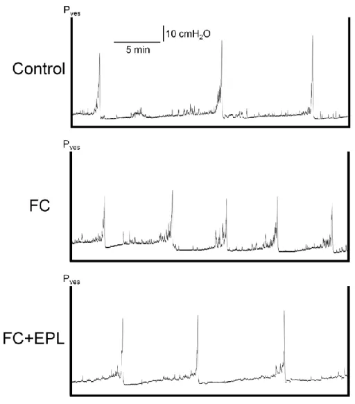 Fig.  11    Cystometry  after  three  days  of  drug  administration.  Representative  cystometrogram during intravesical infusion of saline in the control, FC and FC+EPL  groups