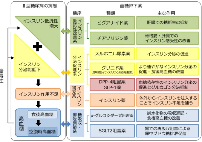 Figure 1-2.    Ⅱ型糖尿病治療薬の分類。 薬物治療は、患者の病態に合わせて１剤から使用し、 2 剤以上併用する際は作用機序の異なる 薬剤を用いる。［糖尿病治療薬ガイドより一部改変 , 2014 ］SSTSSSSLSPSS -‐‑‒DG 2S S 2SS4 S SSSS2SS2 SSSS 14