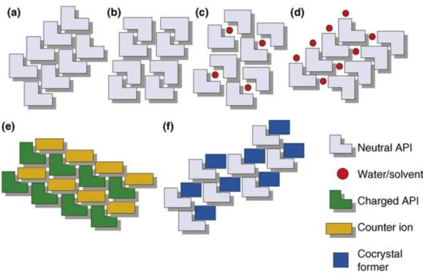 Figure 1-2. The range of single crystalline forms that are possible for an API: (a) pure API; (b)  polymorph of pure API; (c) clathrate hydrate/solvate of API; (d) hydrate/solvate of API; (e) salt  of API; (f) pharmaceutical cocrystal
