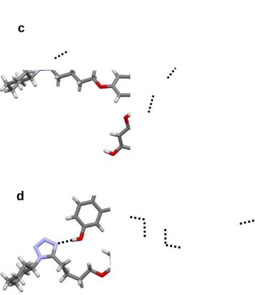 Figure 2-12-2. Fragments of the crystal structures of CLZ cocrystals.    H-bond interactions are  represented as dashed lines