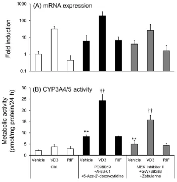 Fig. 4. Induction of CYP3A4 mRNA expression level and CYP3A4/5 activity in differentiated  enterocyte-like cells by 1α,25-dihydroxyvitamin D 3  and rifampicin 