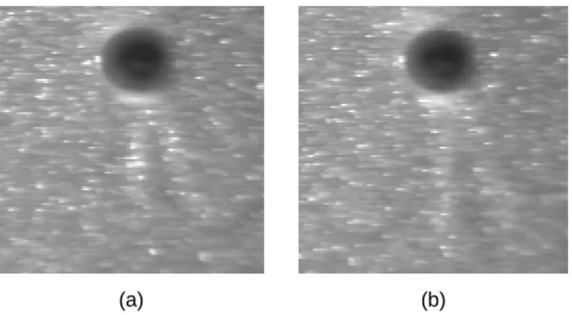 図  ３.８  粒子によって可視化された流れ場(実験システム図 3.7 を参照)を捉えた動画像。動 画像のサイズ：128×128(pixel), 128(frame), 8(bit)。サンプリング周波数：30(Hz)。