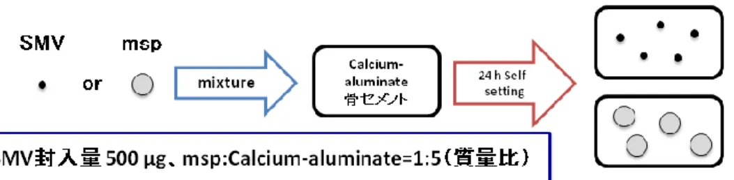 Fig. 2-2 The flowchart of preparation of Calcium-aluminate complex. 