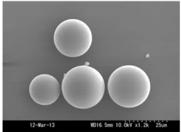 Fig. 2- 4  The scanning electron microscope image of msp.