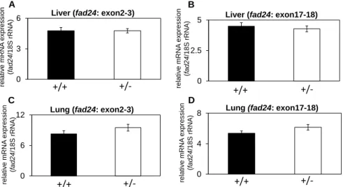 Fig. 6. The expression level of  fad24  mRNA in  fad24  heterozygous. The mRNA levels of  fad24  in liver (A, B) and lung (C, D) were determined using primers Mm00457924_ m1  (A, C) or MAK143 and MAK144 (B, D)