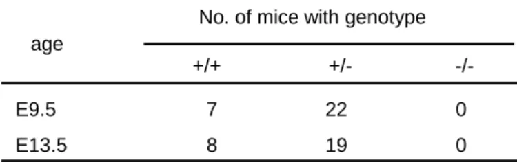 Table 2. Genotypes of progeny aged E9.5 and E13.5 after birth from  fad24  heterozygote  intercrosses were determined by PCR