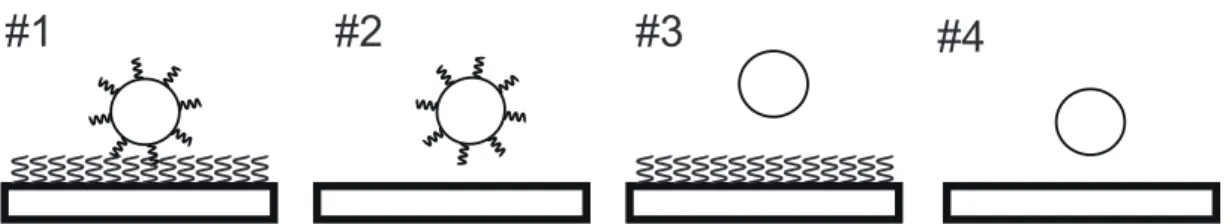 Figure 5 Experimental systems using four kinds of combinations for particles and coverslips