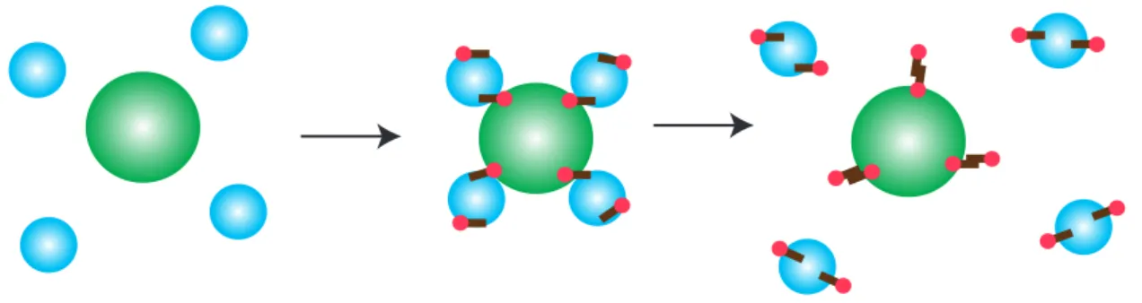 Figure 4 Illustrations of clustering behavior by adsorption of ionic surfactants. 