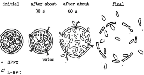 Figure 1.1-5    Fine granule system for masking bitter taste 32)