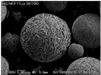 Figure 2.2-6    Scanning electron micrographs of spherical granulated mannitol 