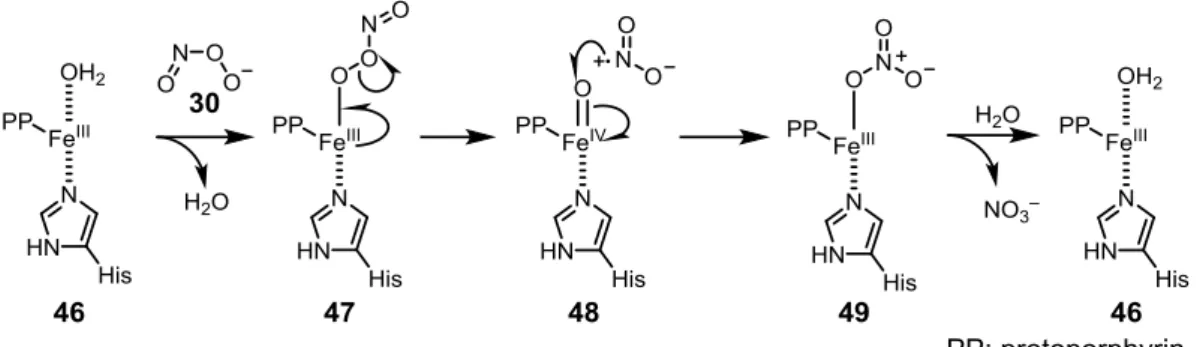 Fig. 2-12 Fe III -ポルフィリンと ONOO – との反応 