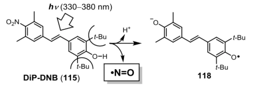 Fig. 3-9 DiP-DNB の分解による安定なラジカルの形成 