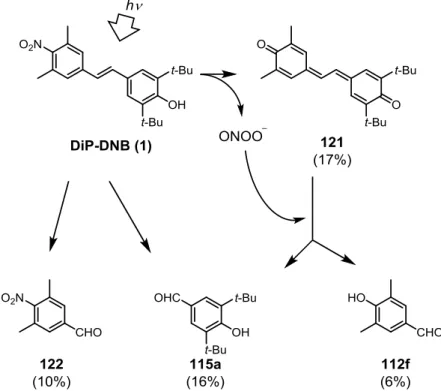 Fig. 3-14 DiP-DNB の光照射によって生じた分解物とその推測される