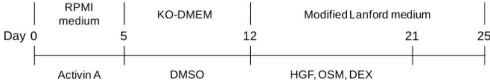 Figure 2-1. Schematic of the protocol for the differentiation into hepatocytes from 2 human iPS cell  lines 