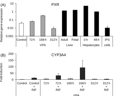 Figure  3-3.  PXR mRNA expression and effects of rifampicin on CYP3A4 mRNA expression in  differentiated VPA-treated hepatocyte-like cells   